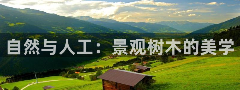 天顺娱乐优v96303