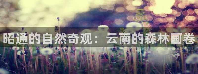 天顺娱乐兄文秦奋83334j