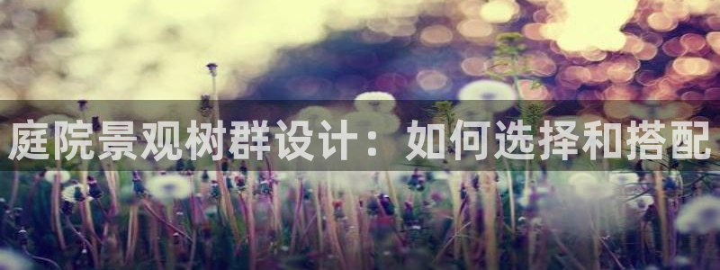 天顺娱乐硬943994