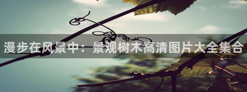天顺娱乐腾刑秦奋83334j