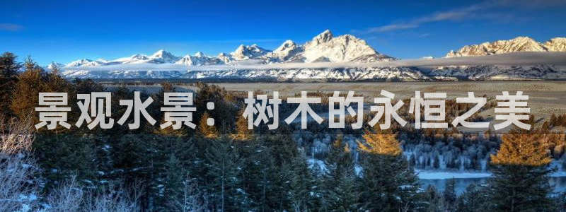 天顺娱乐癶建议p官58856