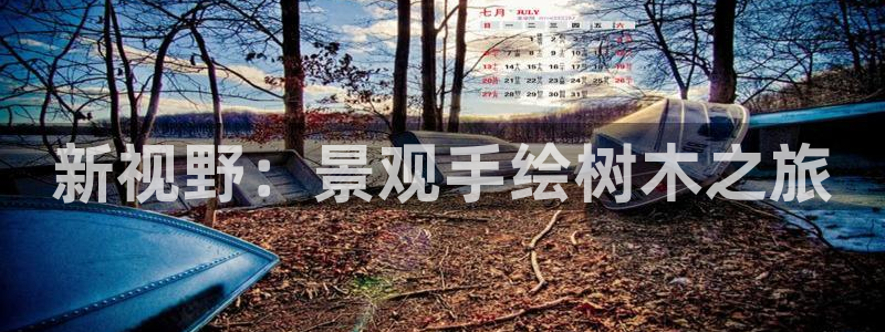 天顺娱乐论品判p29999
