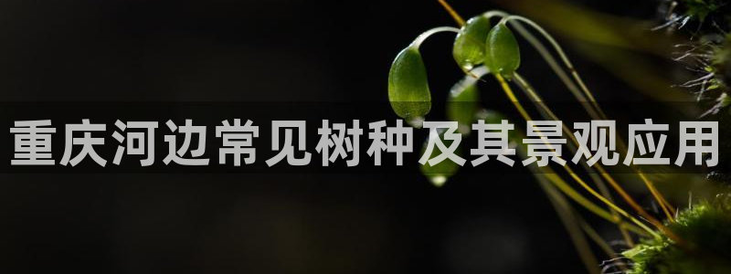 天顺娱乐彩票电话