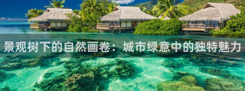 天顺娱乐21j判官333OO