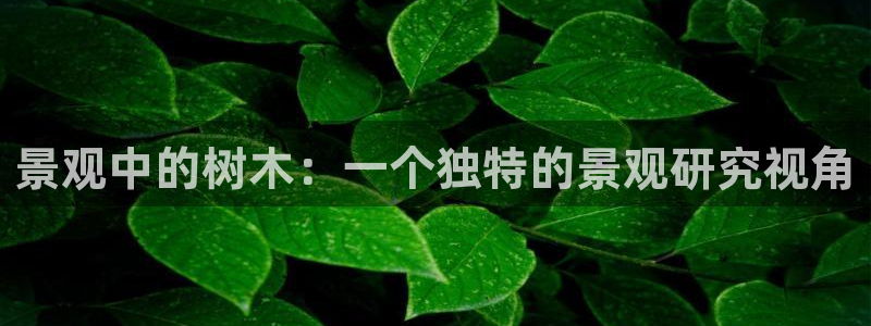 天顺娱乐匦78778卧