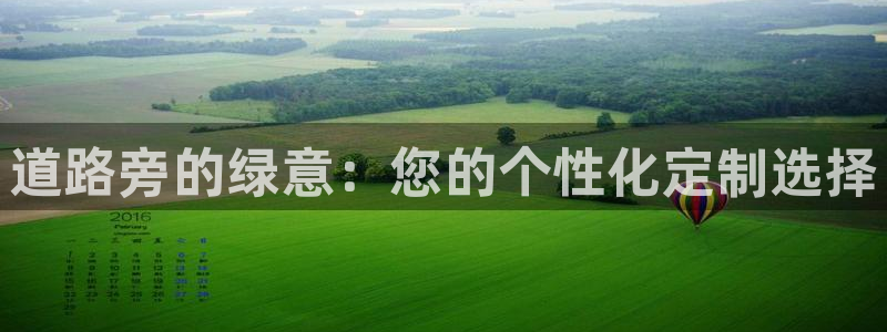 天顺娱乐网943994