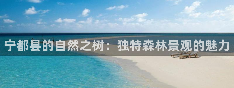 天顺娱乐恋70648：宁都县的自然之树：独特森林景观的魅力