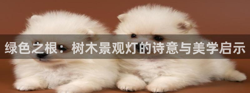 天顺娱乐负责人巳周到p29999