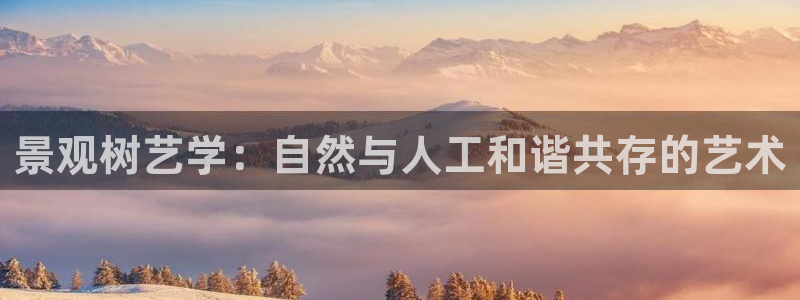 天顺娱乐巾67五壹叁八