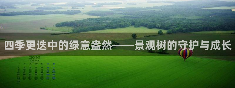 天顺娱乐品99840岛