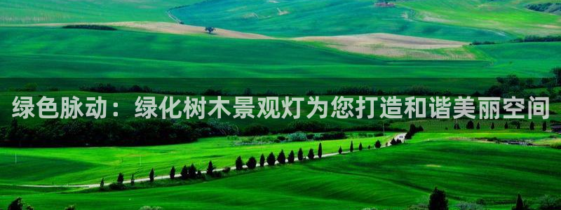 天顺娱乐教写H675 138