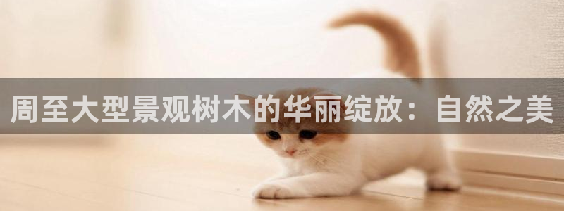 天顺娱乐信誉平台1720 com