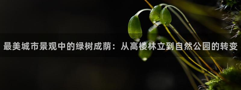 天顺娱乐主管多