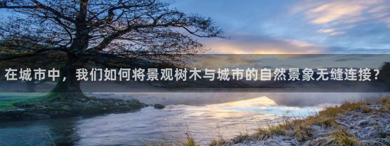 天顺娱乐主管家