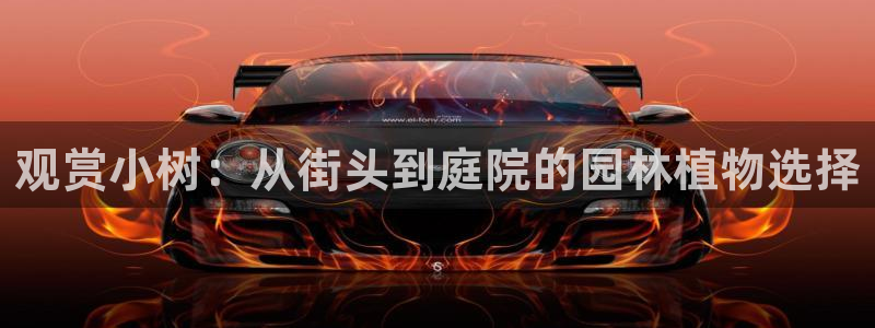 天顺娱乐院943994：观赏小树：从街头到庭院的园林植物选择