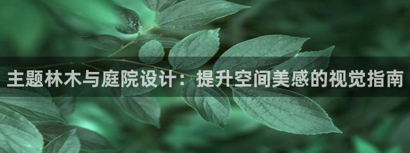天顺娱乐干v96303