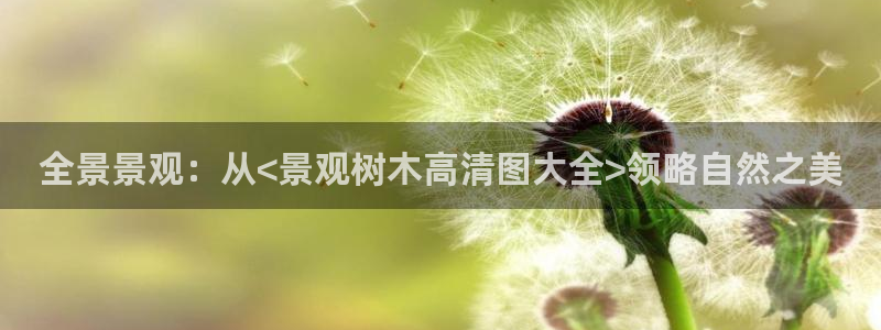 洞天天顺休闲娱乐：全景景观：从<景观树木高清图大全>领略自然之美