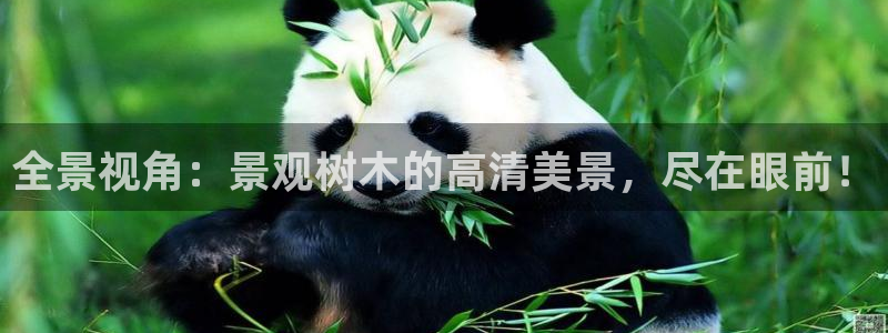 天顺娱乐手机版