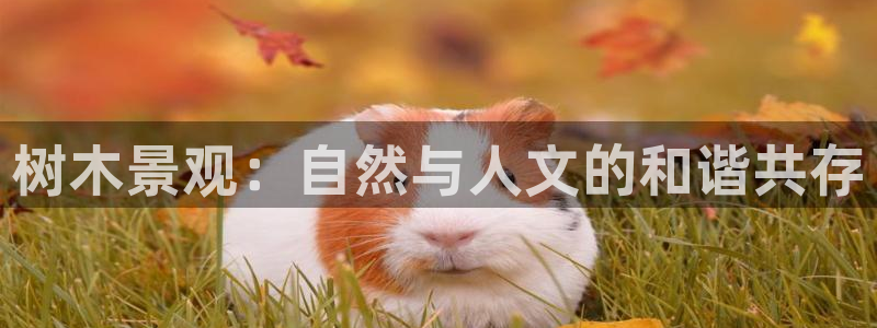 天顺娱乐徒70648抠:树木景观:自然与人文的和谐共存