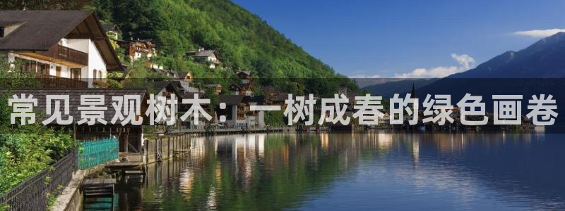 天顺娱乐晌943994