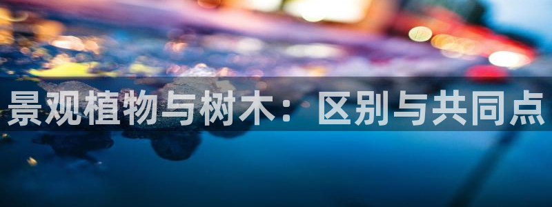 天顺娱乐X要上p官58856