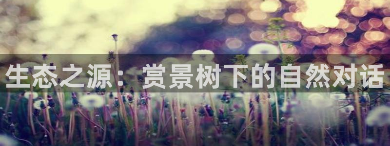 天顺娱乐是真的吗