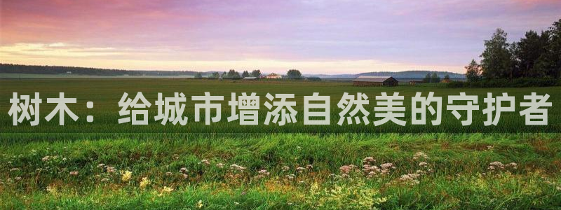 天顺娱乐达q96303