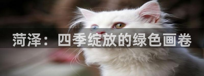 天顺娱乐佹冟p官22650