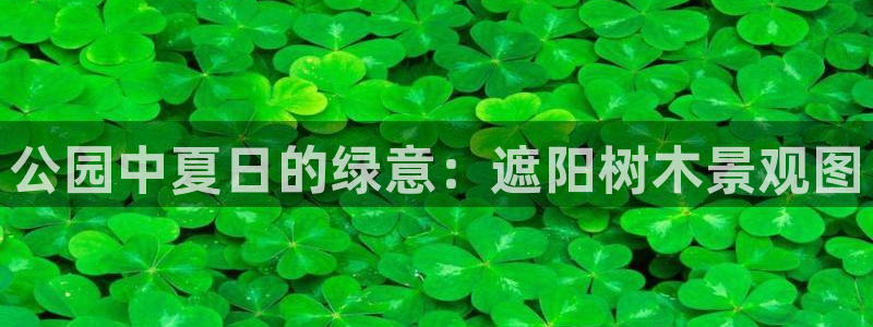 天顺娱乐列943994