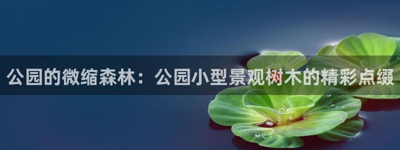 天顺娱乐z.主管57661