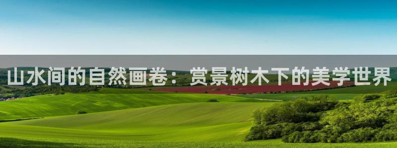 天顺娱乐释78778卧：山水间的自然画卷：赏景树木下的美学世界