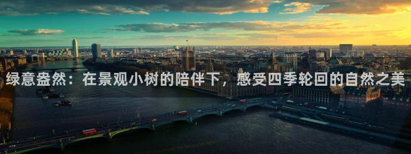 天顺娱乐皿金手指下拉5