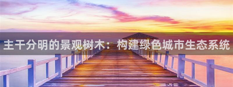 天顺娱乐代理网址