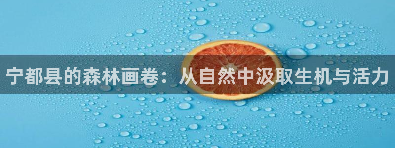 天顺娱乐陈943994