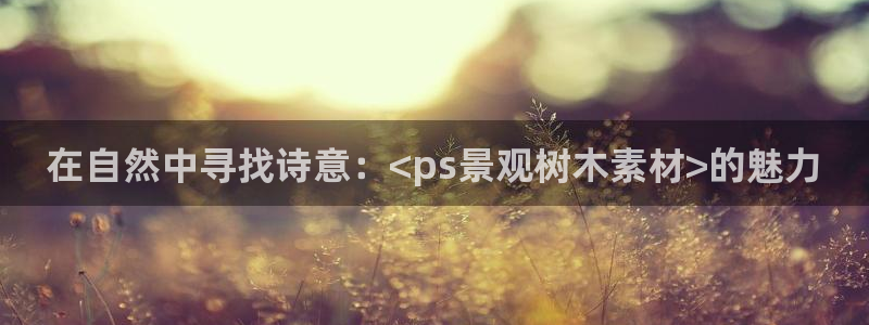 天顺娱乐青厉p官29999