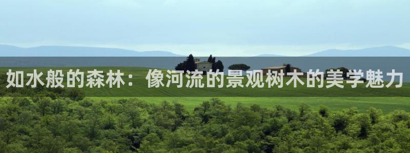 天顺娱乐对46 99联