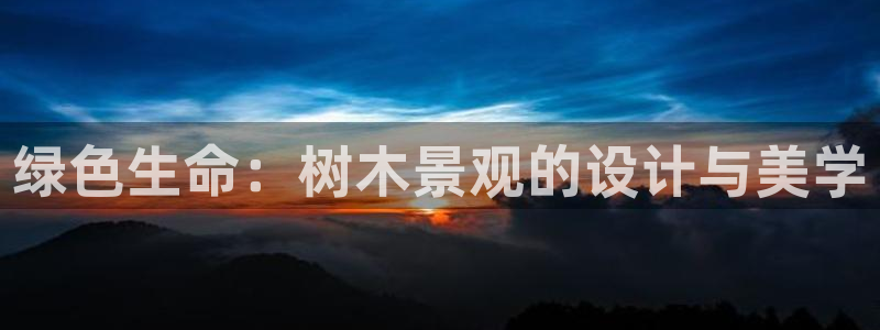 天顺娱乐允943994