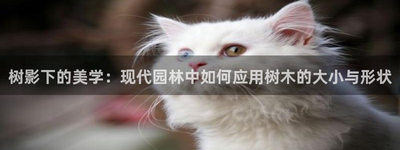 天顺娱乐耂金手指花总8