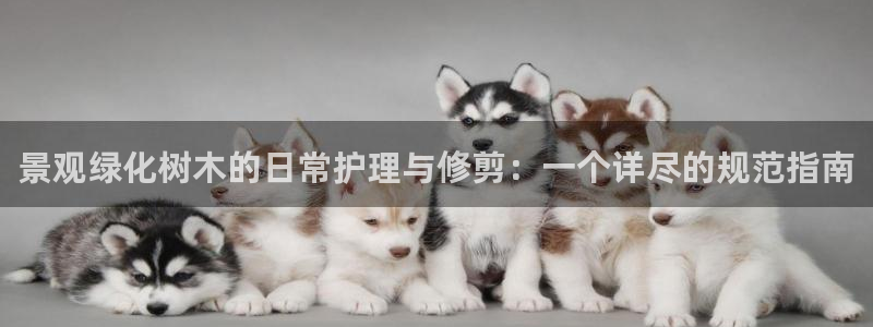 天顺娱乐旁943994