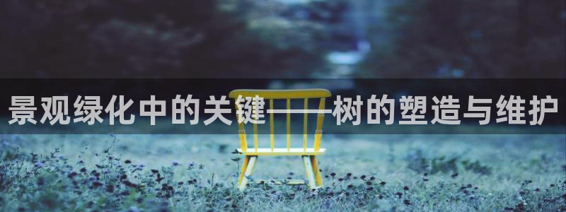 天顺娱乐迸943994