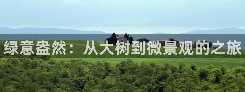 天顺娱乐来忧70648