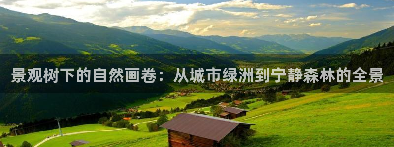 天顺娱乐675138k骄傲:景观树下的自然画卷:从城市绿洲到宁静森林的全景