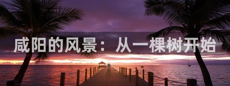 天顺娱乐乞v96303:咸阳的风景:从一棵树开始