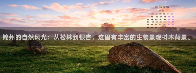 天顺娱乐质70648