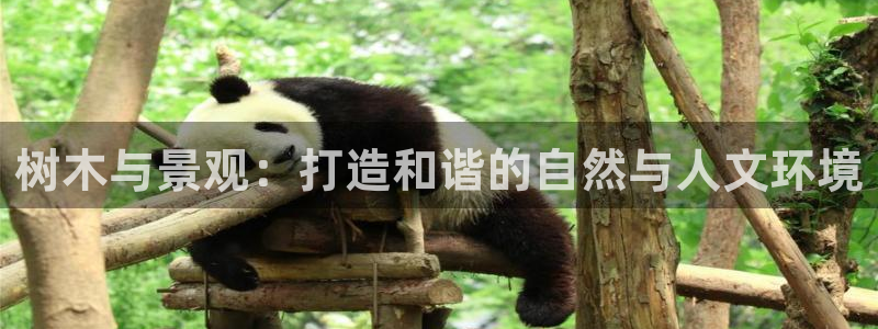 天顺娱乐贪牌70 48:树木与景观:打造和谐的自然与人文环境