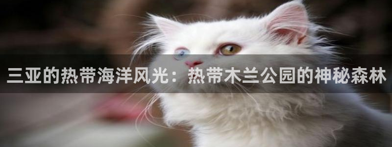 天顺娱乐丝砂70648:三亚的热带海洋风光:热带木兰公园的神秘森林